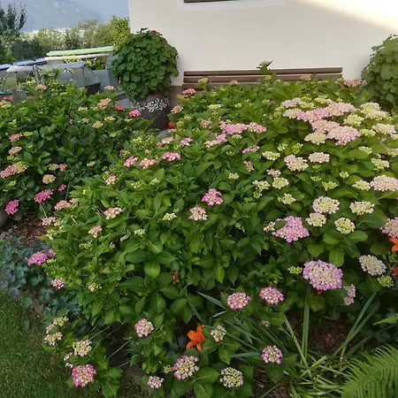 Fischlehen Apartment Breitenbach am Inn