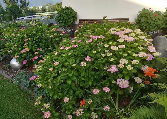 Fischlehen Appartement Breitenbach am Inn